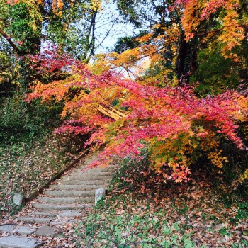 gokoku-kouyou