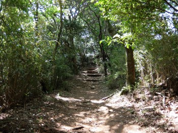 izusan-shrine-road