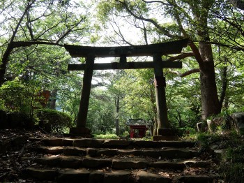 izusan-shrine-okunomiya-torii