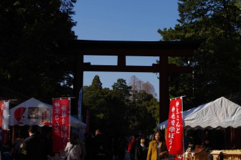 hikawa-shrine-entrance3